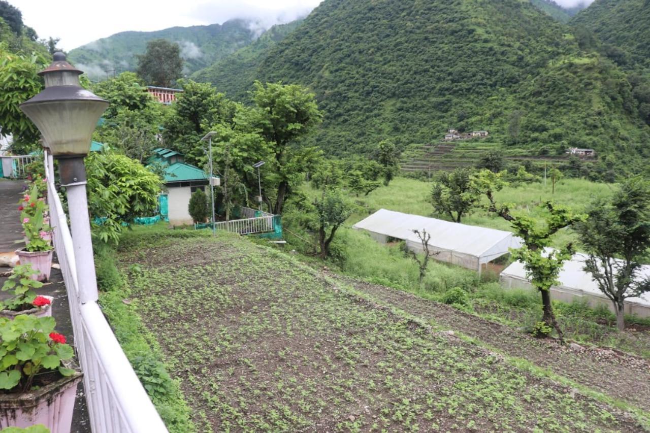 Kalindi Nature Resort Lakhamandal Myani Exterior photo